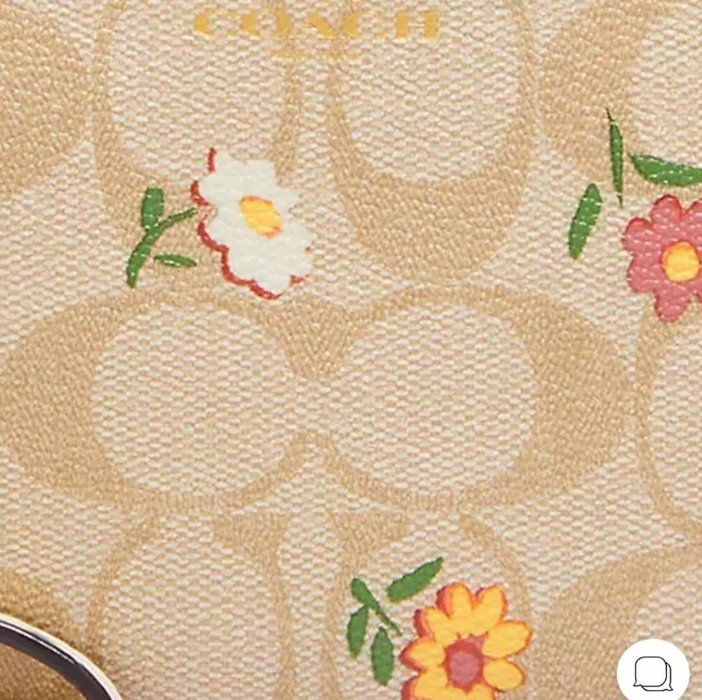 Wistlet Coach - Picture 11 of 12